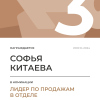 Лидер по продажам в отделе. 3 место